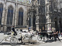 维也纳圣斯蒂芬大教堂